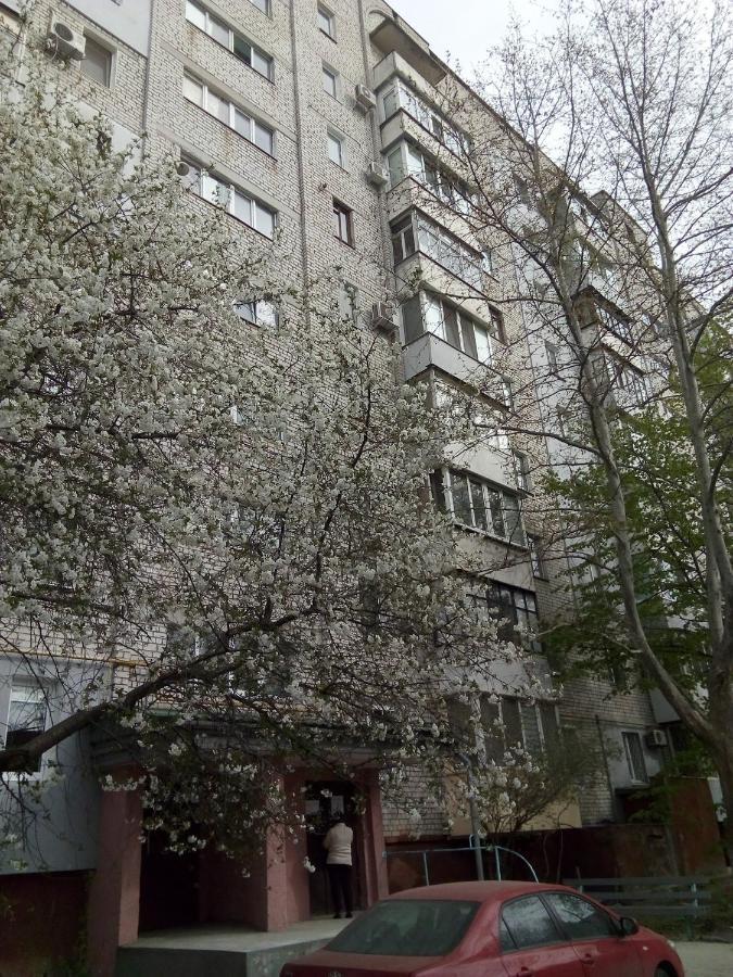 5 Minutes To The City Center Mykolaiv Dış mekan fotoğraf